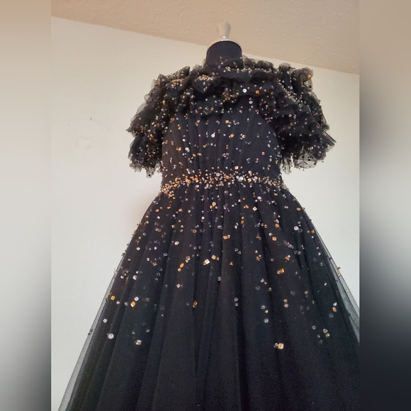 Jenny Packham Evening Gown BRAND NEW with tags. - Picture 11 of 12